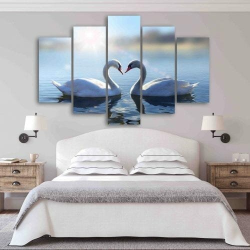 ברבורים באגם