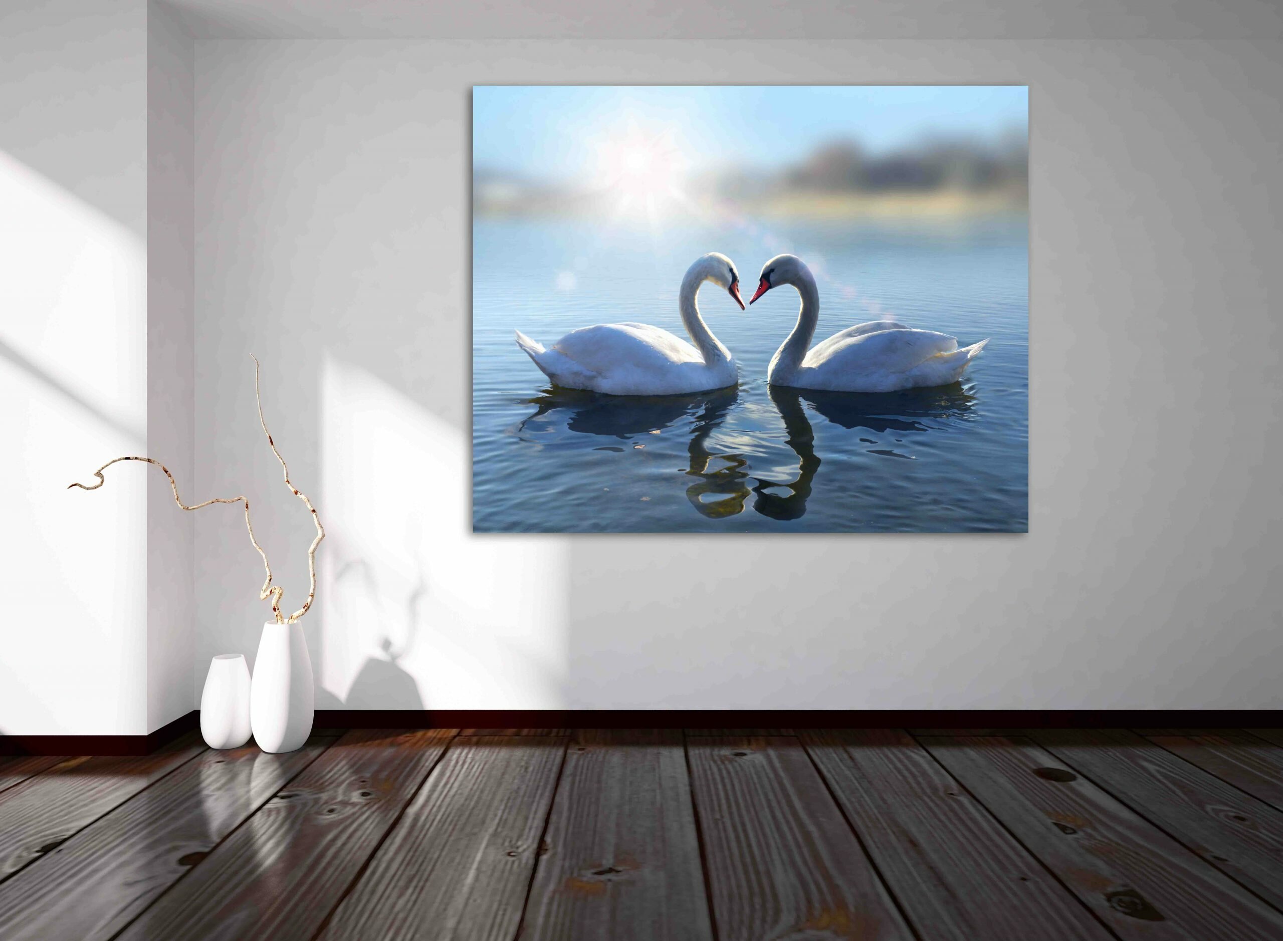 ברבורים באגם 5 ברבורים באגם