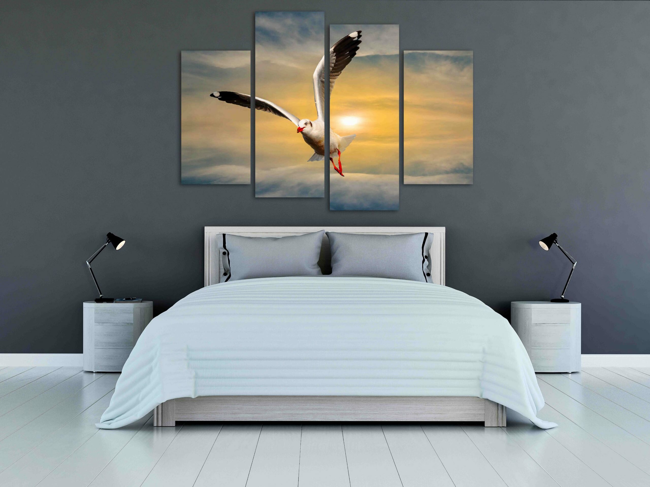 שחף בזריחה 1 שחף בזריחה