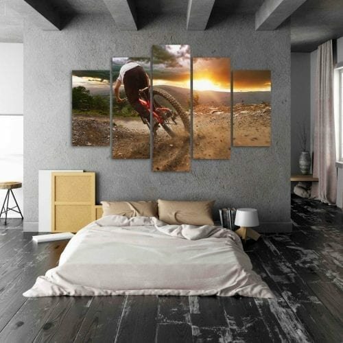 הרוכב הדינמי