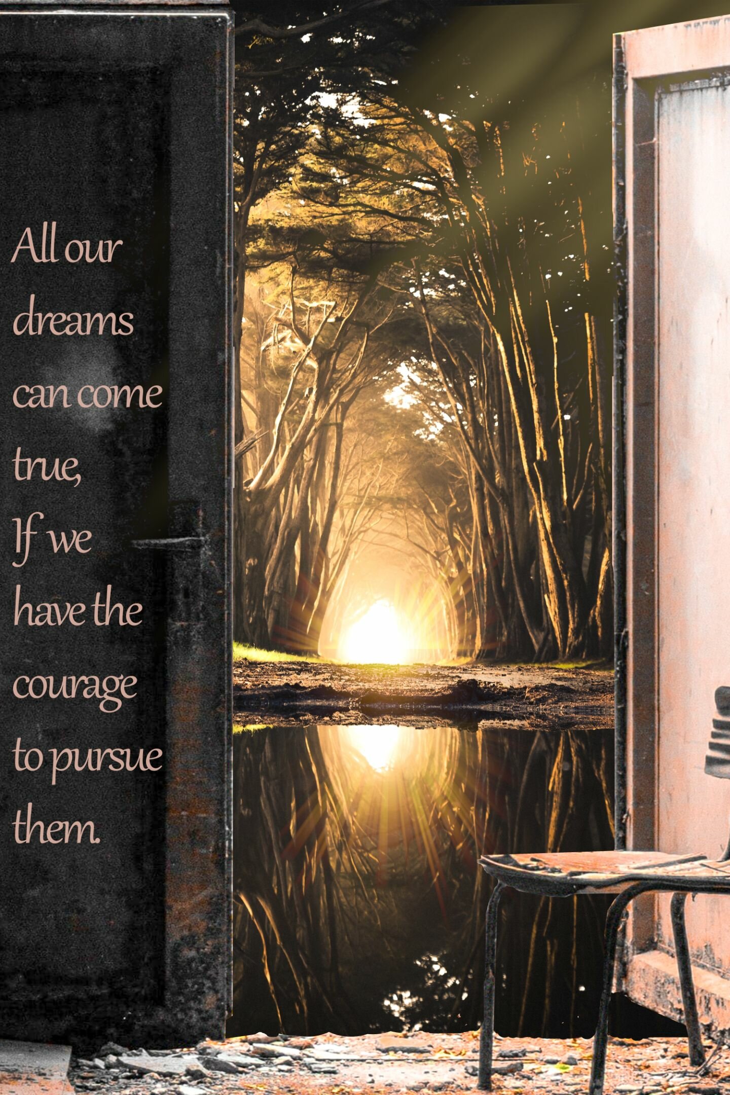 לרדוף אחרי חלומות 5 לרדוף אחרי חלומות