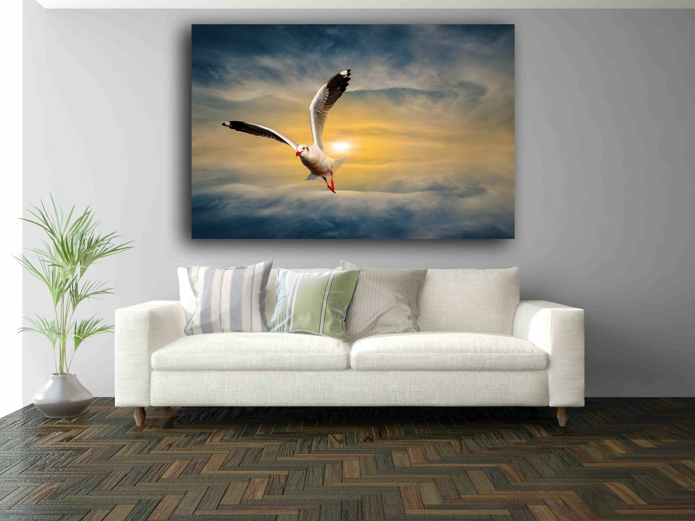 שחף בזריחה 2 שחף בזריחה