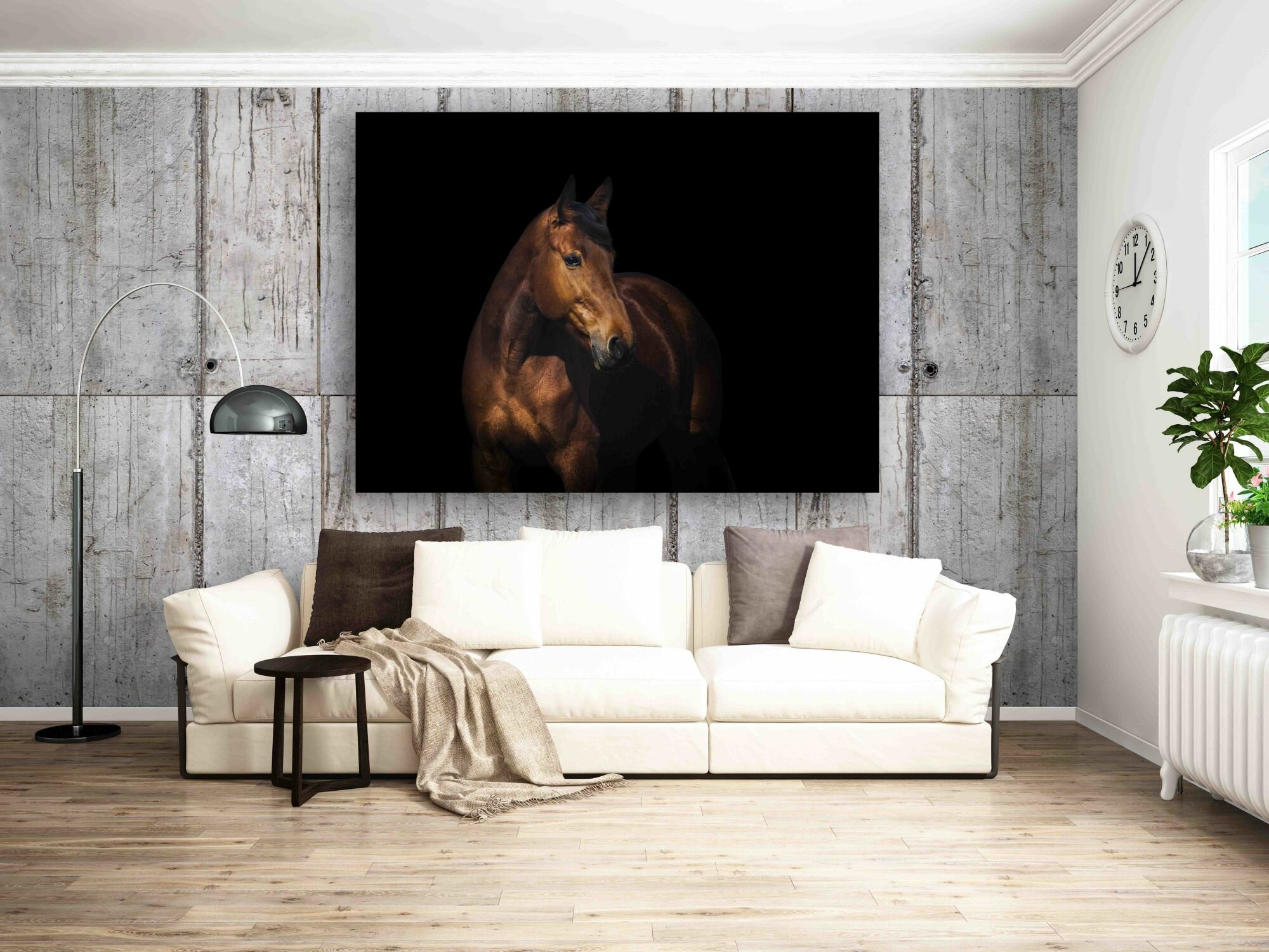 סוס מפרץ 4 סוס מפרץ