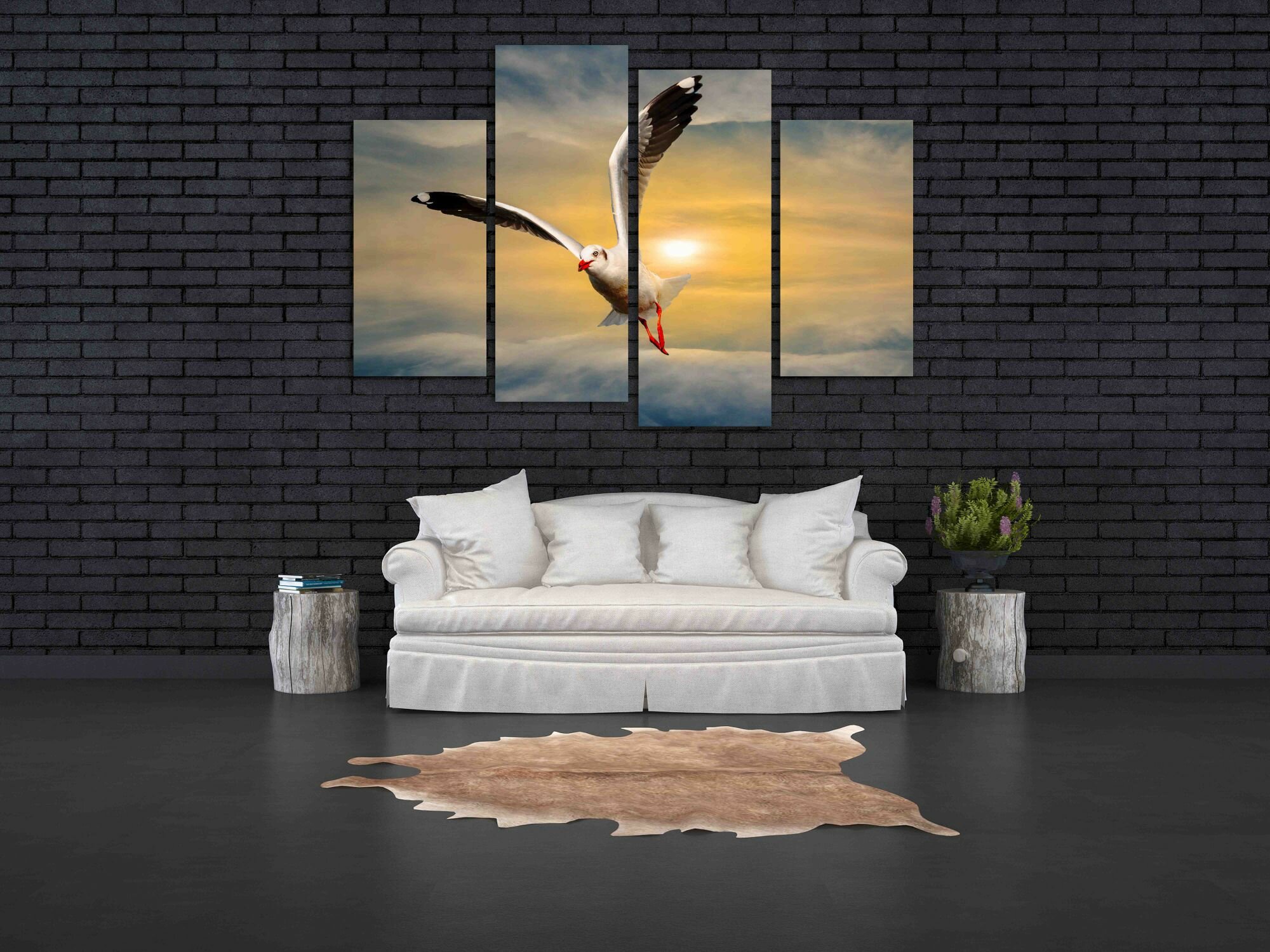 שחף בזריחה 6 שחף בזריחה