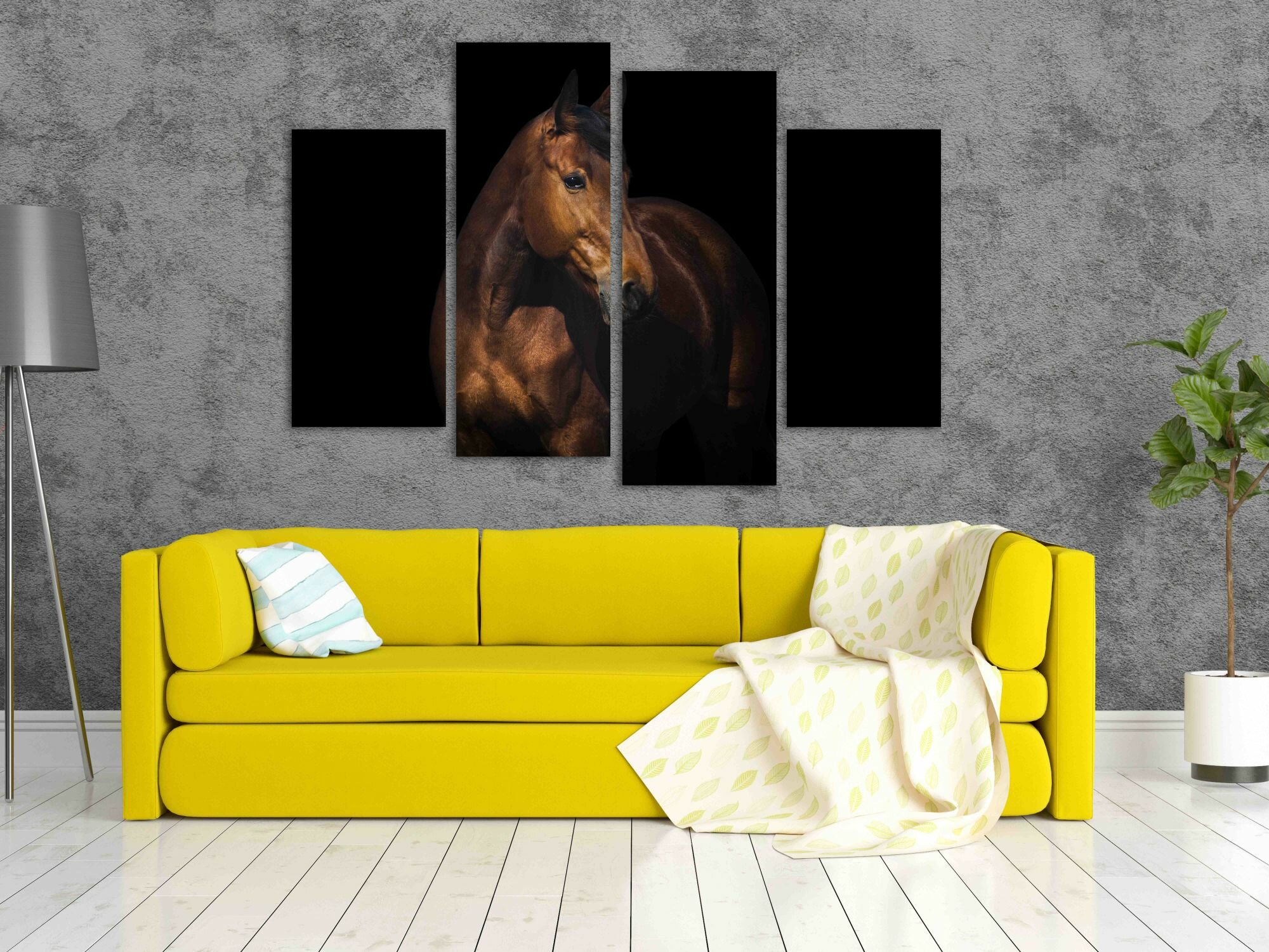 סוס מפרץ 5 סוס מפרץ